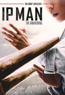 Ip Man: The Awakening izle