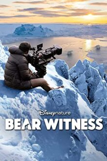 Bear Witness izle